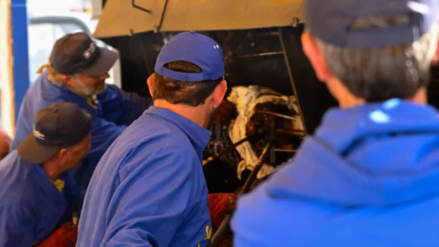 Controllo del fuoco durante la cottura della porchetta